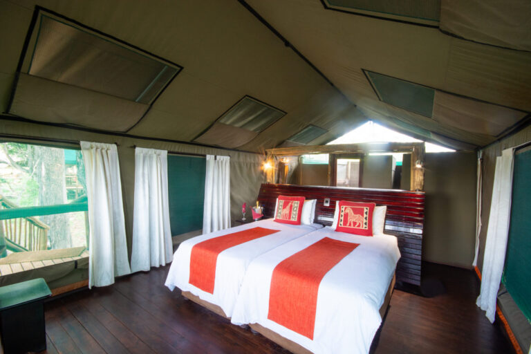 Interior of a safari tent with twin beds and wooden floors at Moremi Crossing in Botswana.