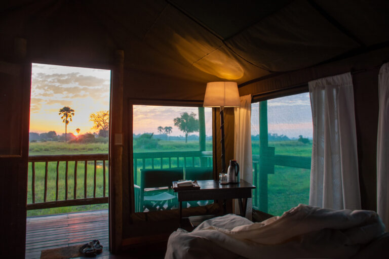Sunrise seen from inside a safari tent overlooking grasslands at Moremi Crossing.