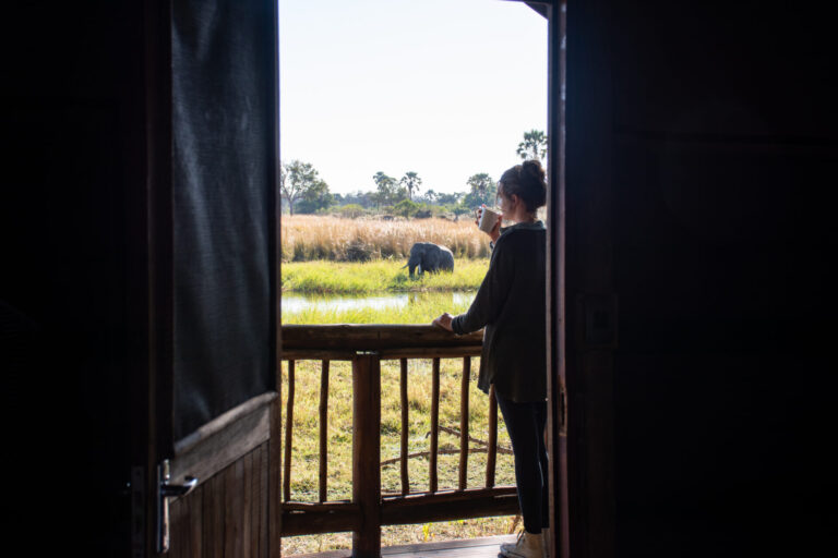 Guest standing on a wooden deck with coffee, watching an elephant near the water at Moremi Crossing.