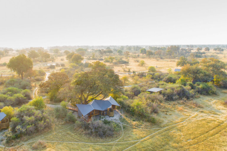Drone shot of Splash Camp surrounded by trees and golden grasslands in Botswana.