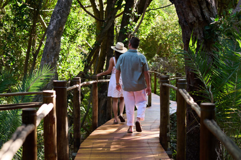 Thw winding walkways linking the rooms at Nxamaseri Island Lodge