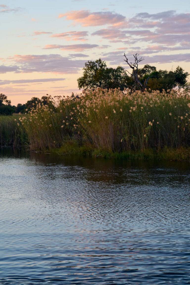 The beauitful waters of the Okavango Delta