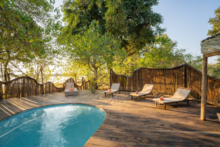 Wooden pool deck with loungers surrounded by trees at Pom Pom Camp.