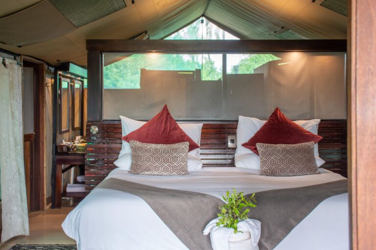 Safari tent bedroom with double bed and warm lighting at Pom Pom Camp.