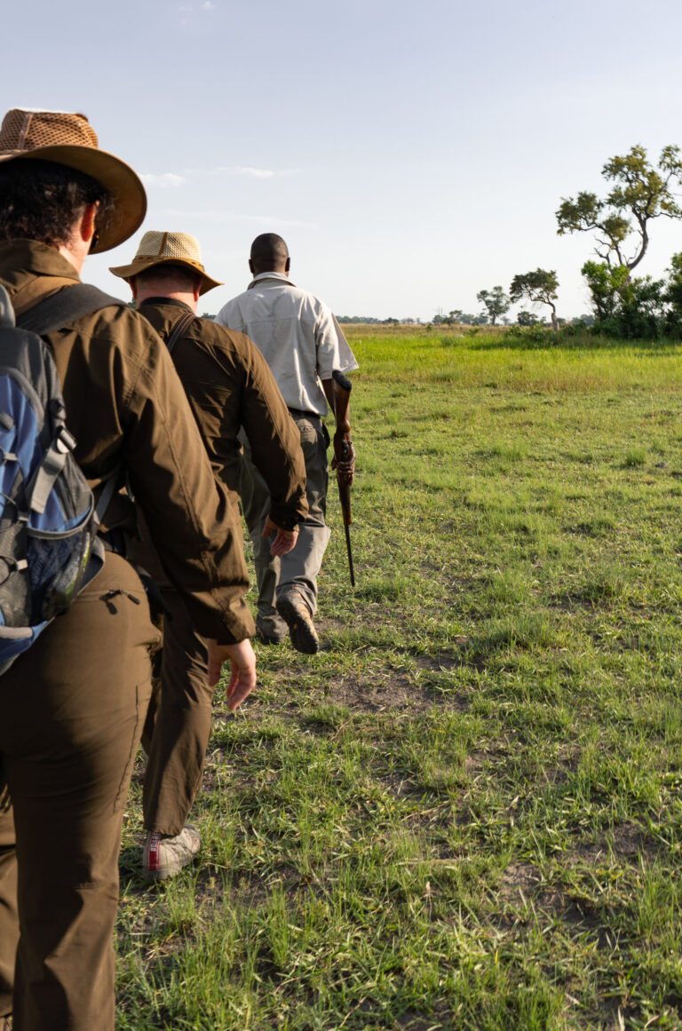 Safari guide leading guests on a walking safari through grassy plains near Pom Pom Camp.