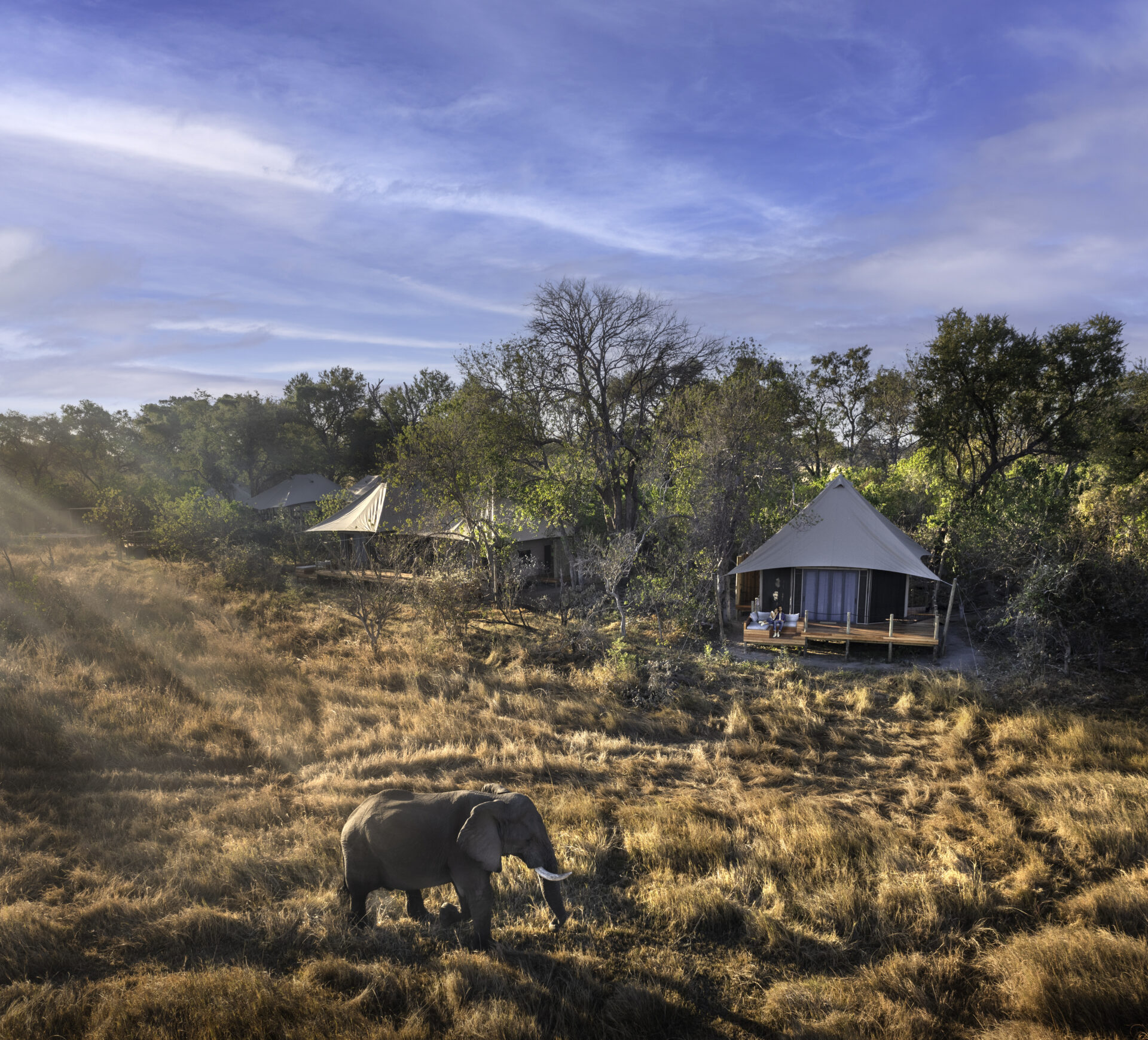 An elephant walks through dry grassland near luxury canvas safari tents nestled among trees.