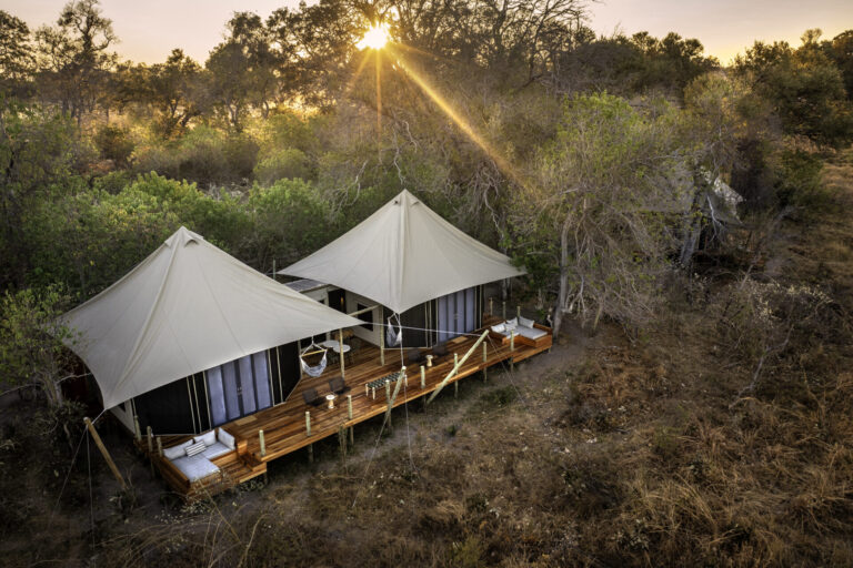 Two luxury canvas safari tents with private decks nestled in the wilderness, lit by the soft morning sun.