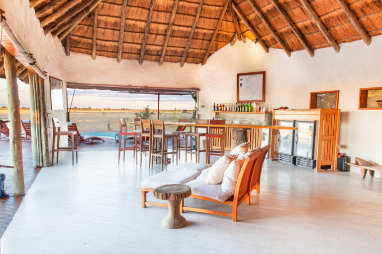Thatched lounge and bar with seating area and pool view at Nxai Pan Camp.