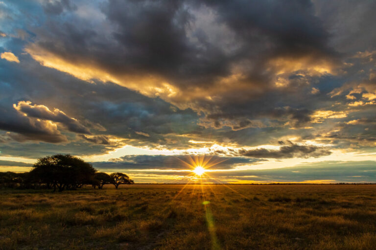 Dramatic clouds and golden sunlight over the Kalahari grasslands at Tau Pan Camp.