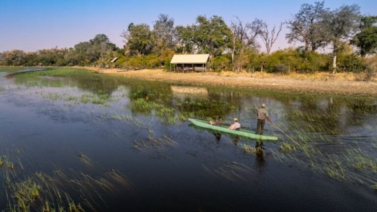 Mokoro excursions are offered when water leels allow at okavango horse safaris