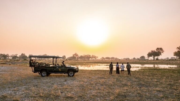 Game drives are also offers at OHS for a comprehensive safari experience