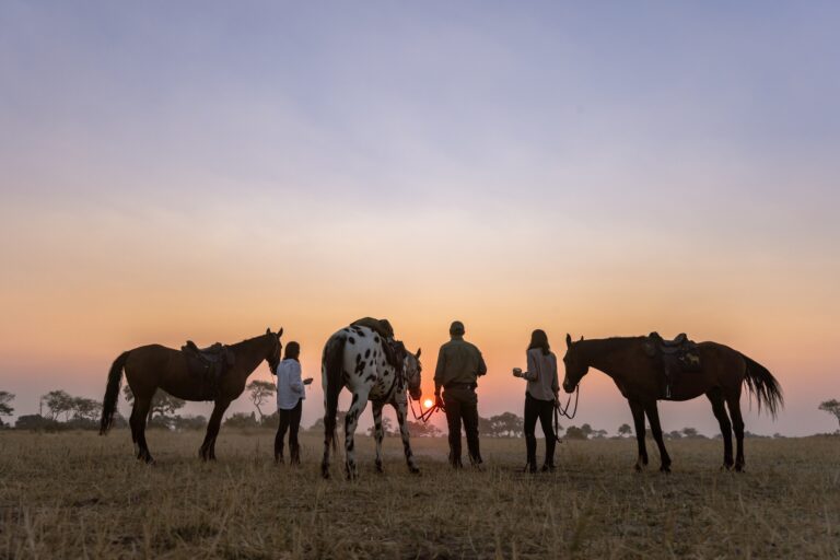 Horses and riders relaxing at sunset after a day´s safari in the Okavango Delta.