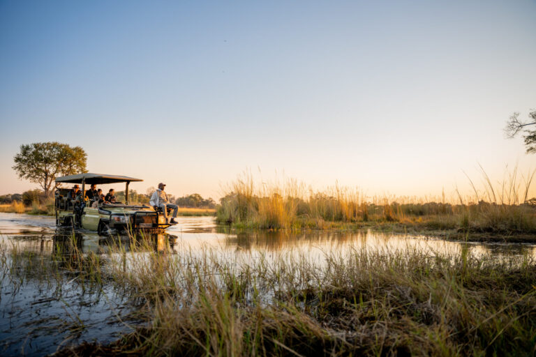 Safari boat with guests gliding through Delta channels at sunset near Four Rivers Camp.