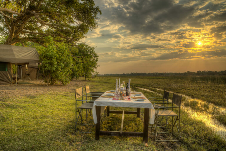 Harkness Safaris al fresco dinner