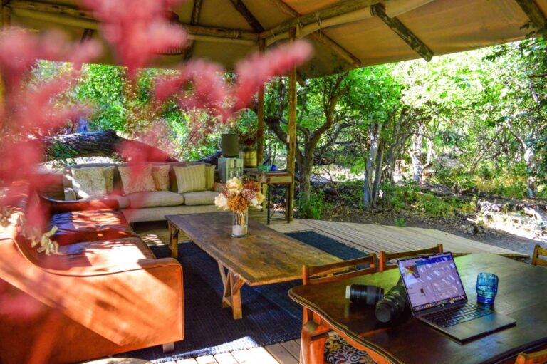 Open air wifi lounge with sofas and dinning table in the Okavango riverine forest.
