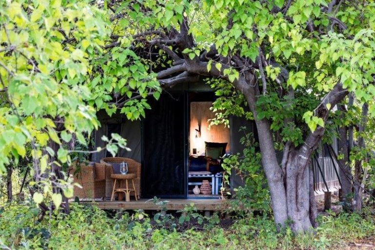 Tents shaded by Okavango riverine forest with river views.