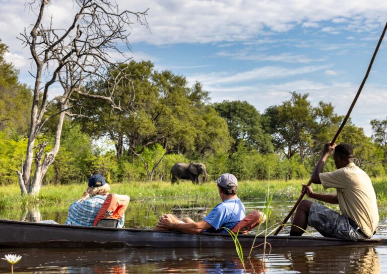 Mokoro activities on the Mbudi River in the Khwai concession.