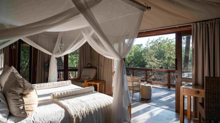 Spacious tented suite raised on wooden decking with views on to forest of Tuli Safari Lodge.